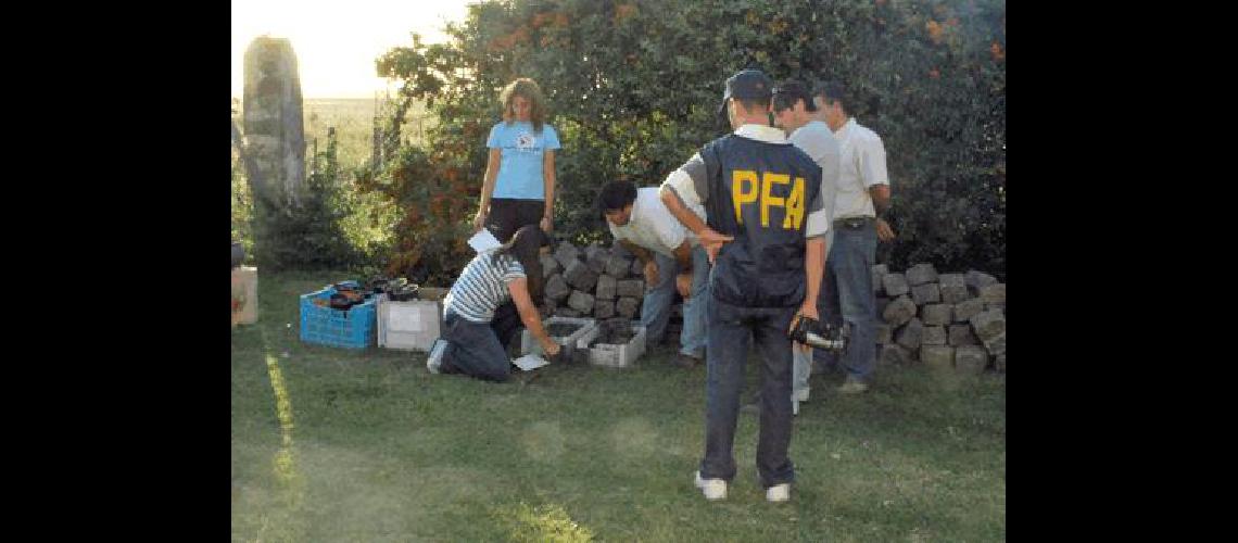 Hubo que traer especialistas para que clasificaran las plantas Lucas Pagano