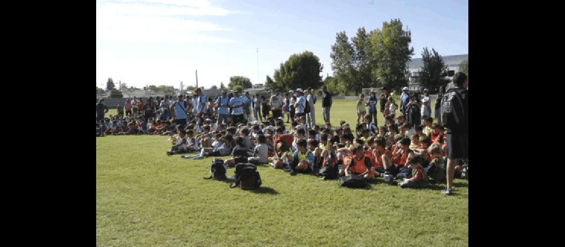 MÃs de 350 chicos de Racing Ingeniero La Colina sumados a los de Laprida OlavarrÃ­a Loma Negra San Jorge y Pringles disputaron el encuentro de escuelitas 