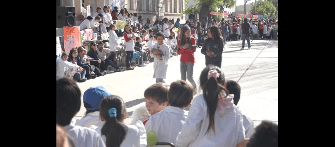 En el desfile participaron mÃs de 100 mascotas entre ellas perros gatos y otros animales 