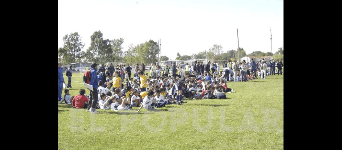 MÃs de 300 chicos de entre 6 y 11 aÃ±os participaron del encuentro de organizado por Racing 