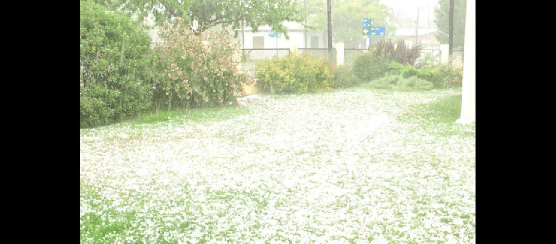 Los patios quedaron rÃpidamente cubiertos por el granizo 