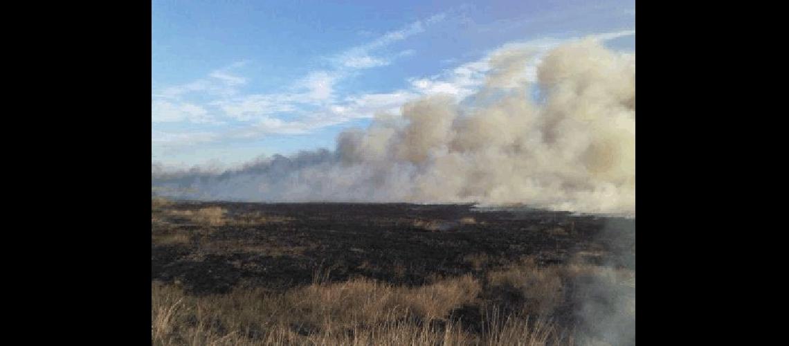 La sequÃ­a provocÃ³ la quema de mÃs de 240 hectÃreas Por ello continÃºa la evaluaciÃ³n de datos para solicitar la emergencia agropecuaria para La Madrid 
