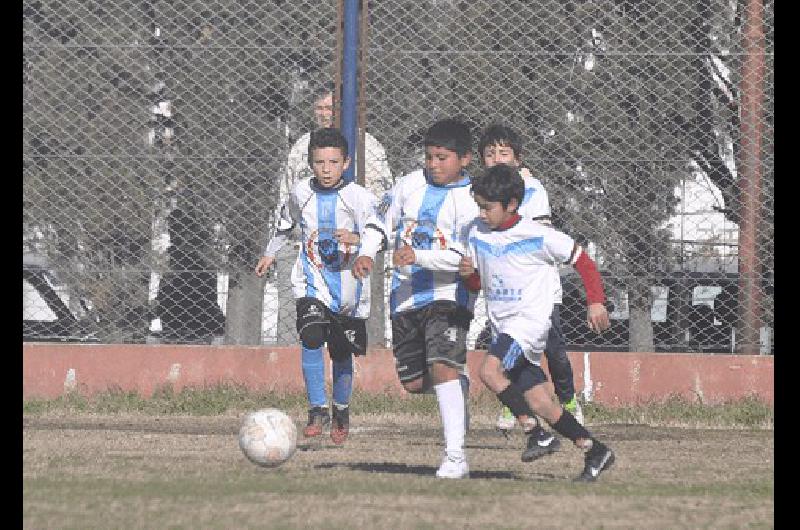 Tres categorÃ­as son de la partida en el torneo de invierno 