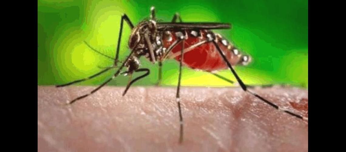 El Ãrea de BromatologÃ­a de La Madrid realiza control de mosquitos en distintos puntos de la ciudad 