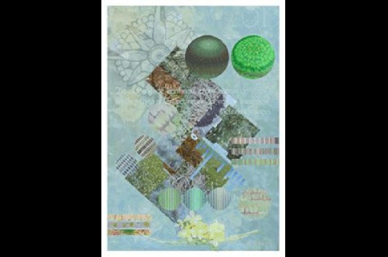 Obra de la artista local que estarÃ en el Fluxus OrgÃnico de Francia 2016 
