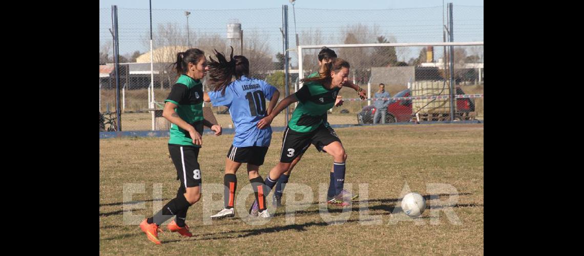 Comenzaron los<br> playoffs del Apertura