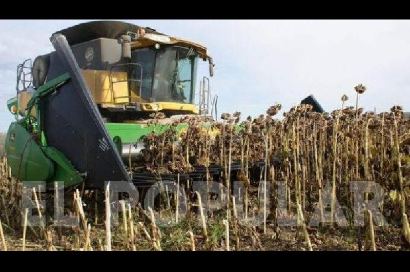 En General La Madrid los productores estÃn entre sorprendidos y preocupados por los rindes de la gruesa 