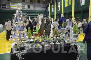 El bazar de Navidad que organiza la Rueda femenina de Rotary volvió este año