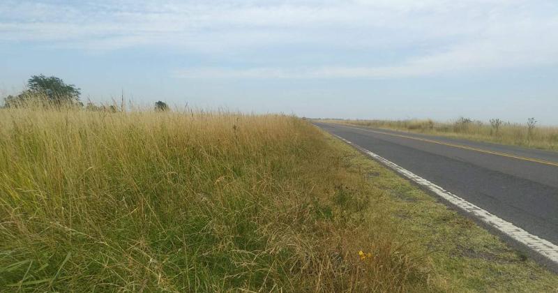 Ruta 226- reclamo por falta de mantenimiento y riesgo de incendio