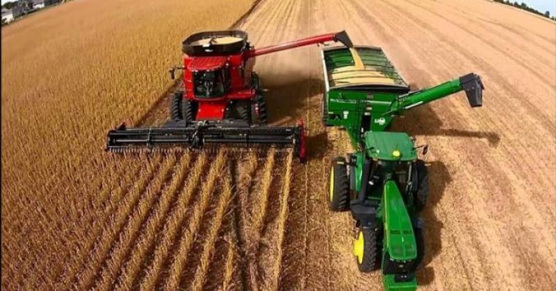 Los sectores del agro que ms y menos exportaron durante 2021