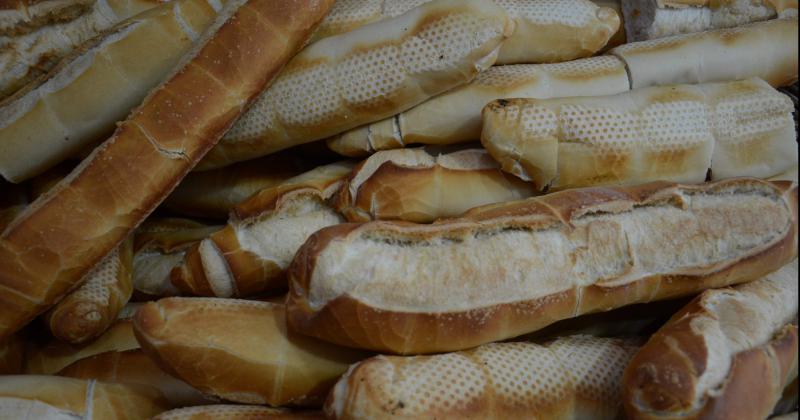 Aumento del pan- Cada panadero lo adoptaraacute de acuerdo con sus necesidades