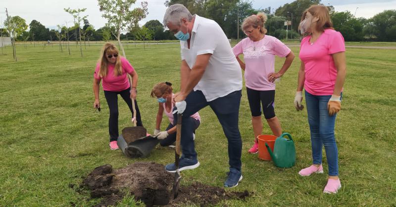 El Grupo Ola Rosa plantoacute aacuterboles con flores rosas en Parque Sur 