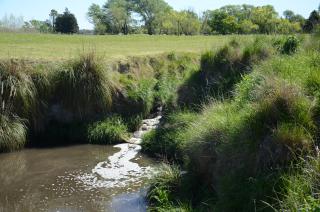 El organismo del Agua pidioacute la realizacioacuten de una obra a una empresa laacutectea 