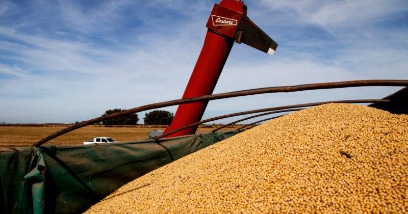 El Gobierno oficializoacute la suba de las retenciones y crece el malestar en el campo