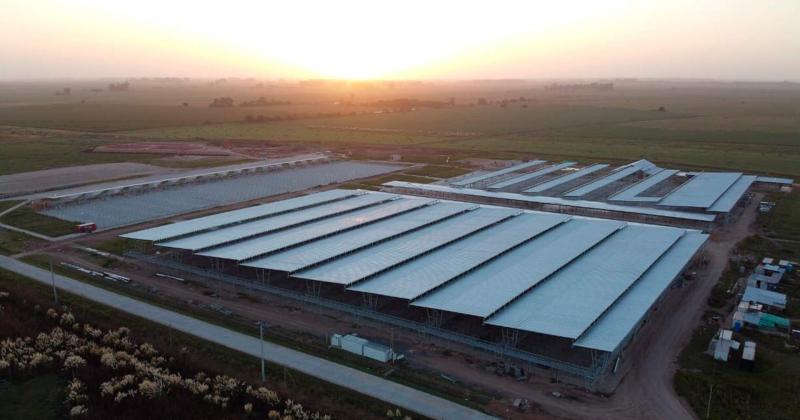 Falta al menos un mes ms para el traslado definitivo del Mercado de Liniers al nuevo de Cañuelas