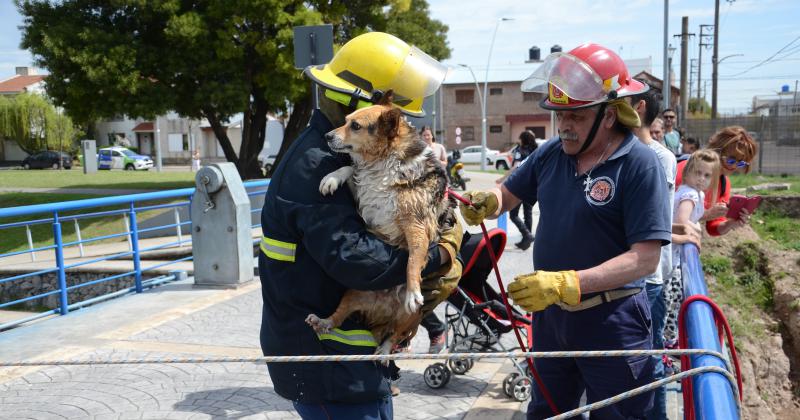 Bomberos Voluntarios- maacutes de 70 antildeos al servicio de la comunidad olavarriense