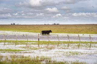 Informe de Carbap- hay casi 900 mil hect�reas afectadas por inundaciones en la provincia