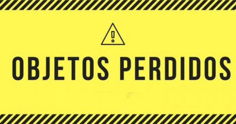 Buscan documentacioacuten y un celular robado en el recital de Skay