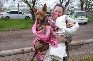 Esta semana el Quiroacutefano Veterinario Moacutevil estaraacute en Barrio Isaura