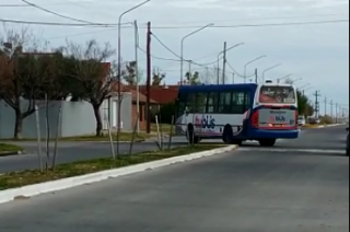 Imgenes del video enviado por la vecina