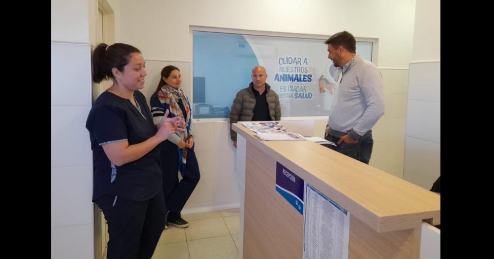 El nuevo número es 15579825 y ser únicamente para llamadas telefónicas