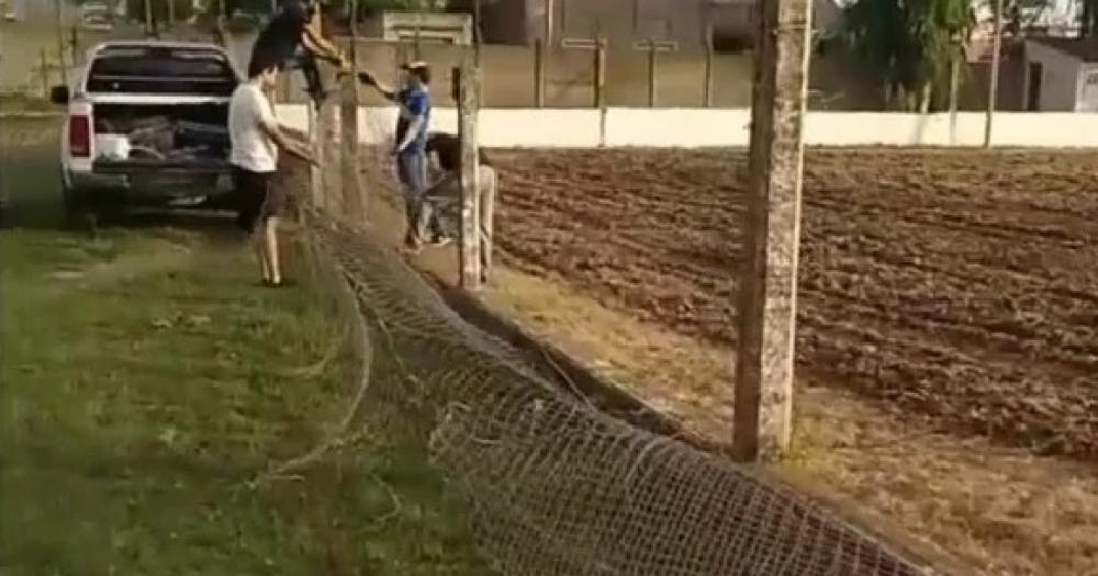 Se cambió el alambrado olímpico y se quitaron los paredones detrs de los arcos