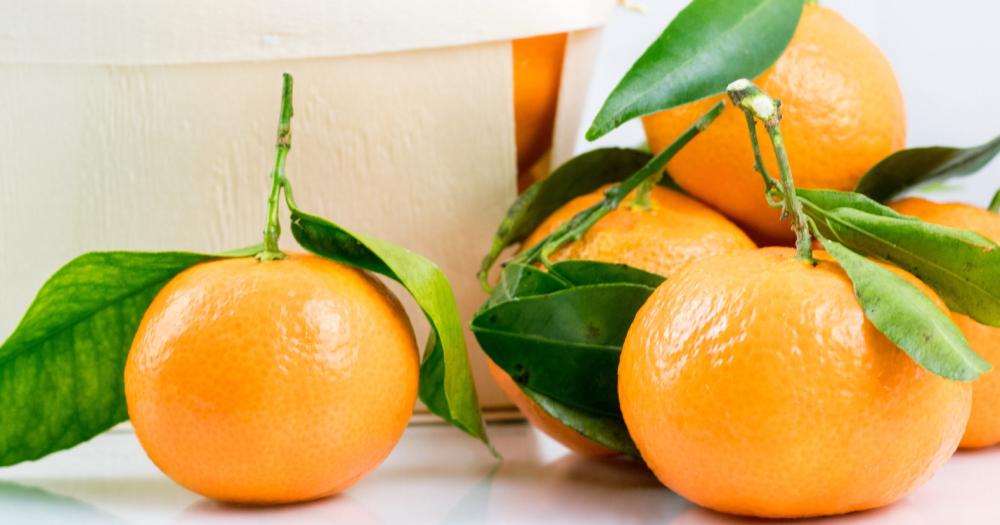 Mandarinas en la dieta- iquestla clave para evitar el resfriacuteo