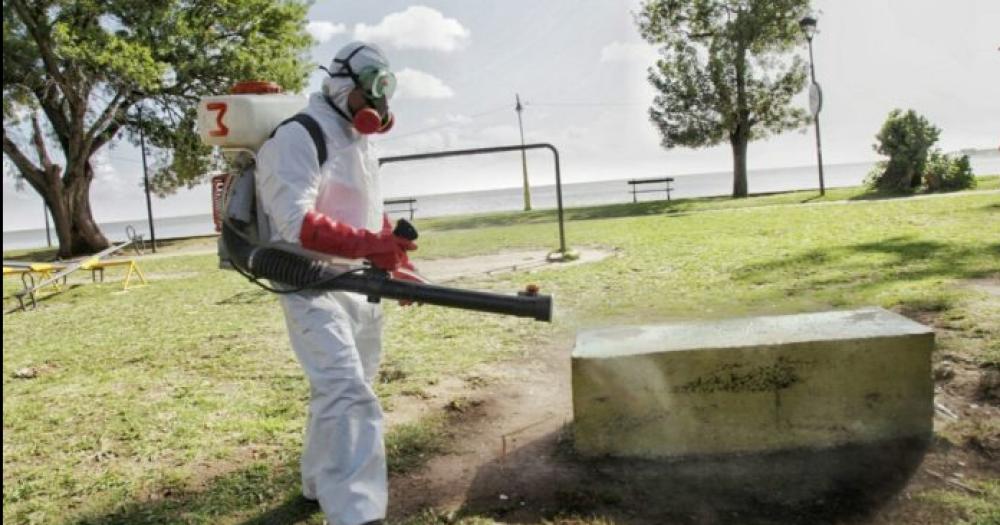 Detectan un genotipo de dengue que no habiacutea circulado antes en Argentina