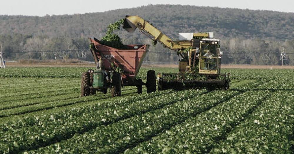 Argentina recibiraacute un preacutestamo del BID por US100 destinado a la agroindustria